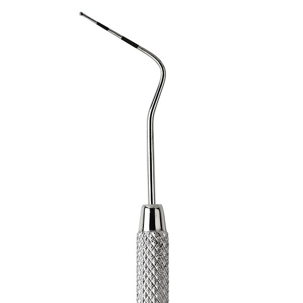 Organic Vegetable Box