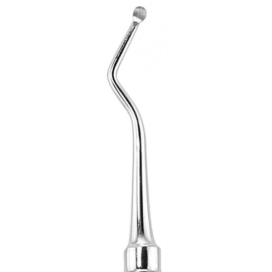 Organic Vegetable Box